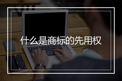 什么是商标的先用权