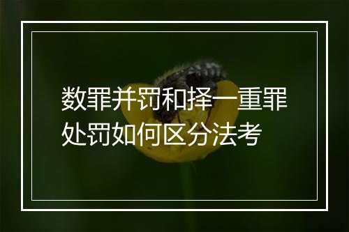 数罪并罚和择一重罪处罚如何区分法考