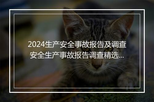 2024生产安全事故报告及调查 安全生产事故报告调查精选7篇