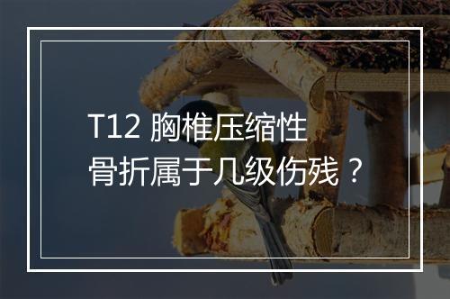T12 胸椎压缩性骨折属于几级伤残？