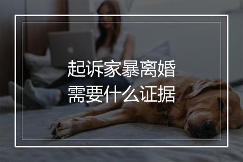 起诉家暴离婚需要什么证据