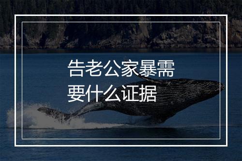 告老公家暴需要什么证据