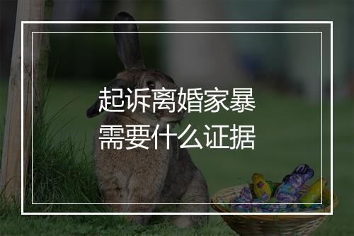 起诉离婚家暴需要什么证据