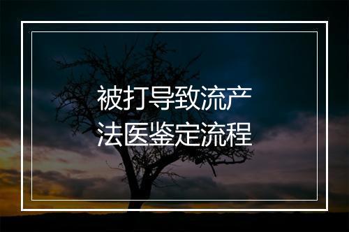 被打导致流产法医鉴定流程