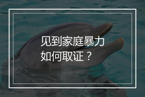 见到家庭暴力如何取证？