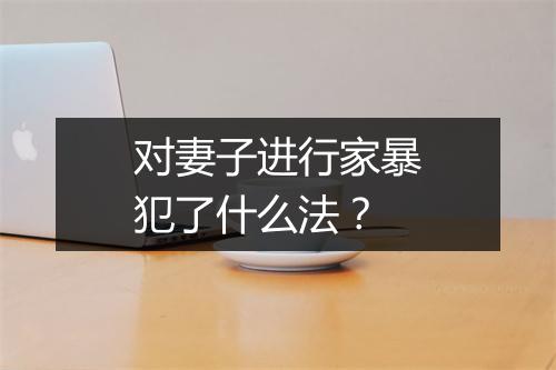 对妻子进行家暴犯了什么法？