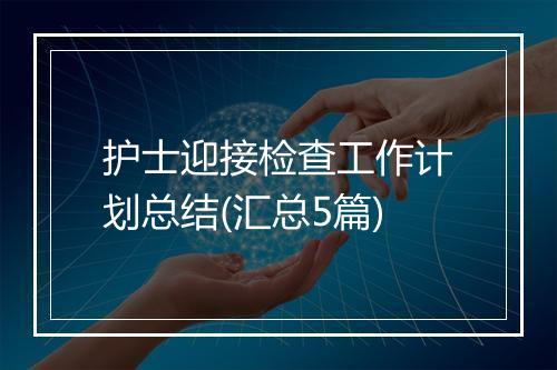 护士迎接检查工作计划总结(汇总5篇)
