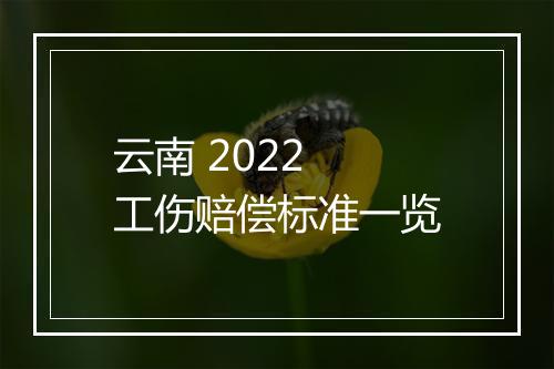 云南 2022 工伤赔偿标准一览