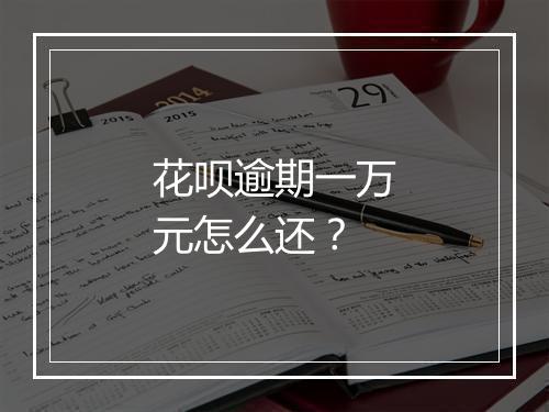 花呗逾期一万元怎么还？