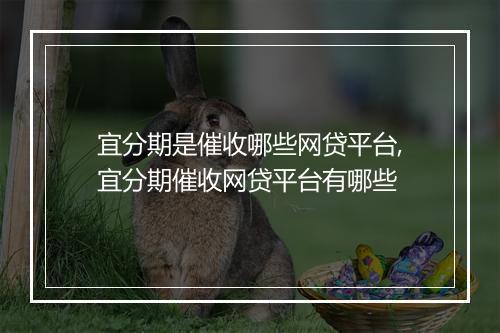 宜分期是催收哪些网贷平台,宜分期催收网贷平台有哪些