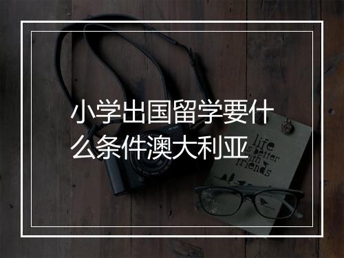 小学出国留学要什么条件澳大利亚