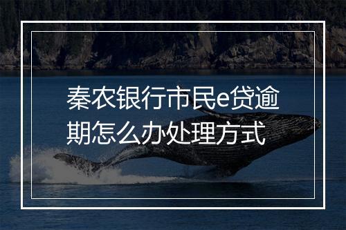 秦农银行市民e贷逾期怎么办处理方式