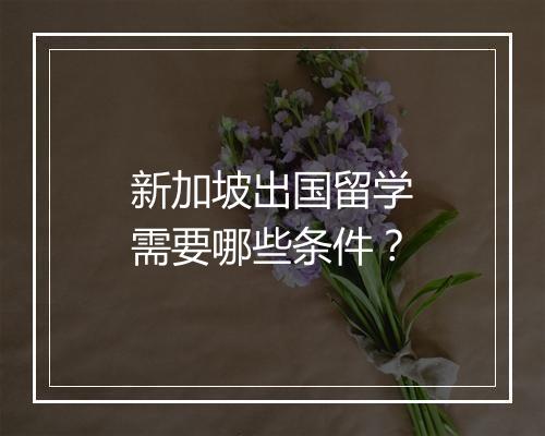 新加坡出国留学需要哪些条件？