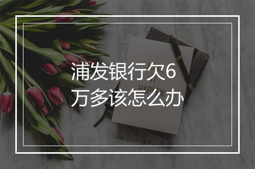 浦发银行欠6万多该怎么办