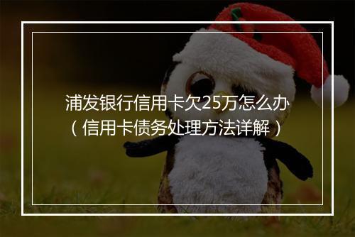 浦发银行信用卡欠25万怎么办（信用卡债务处理方法详解）