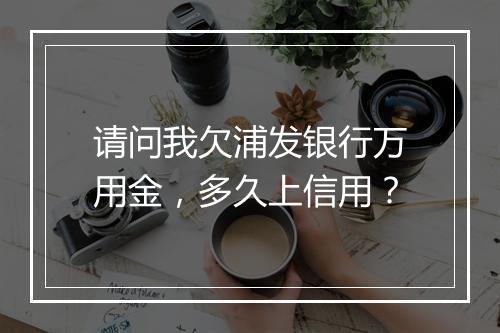 请问我欠浦发银行万用金，多久上信用？