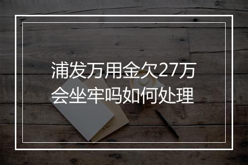 浦发万用金欠27万会坐牢吗如何处理