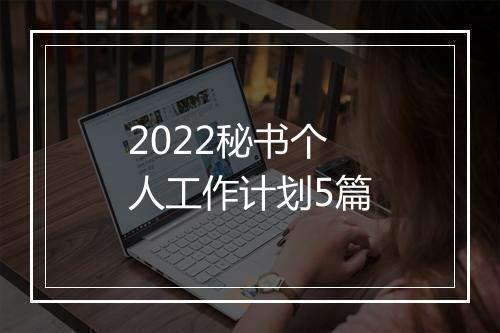 2022秘书个人工作计划5篇