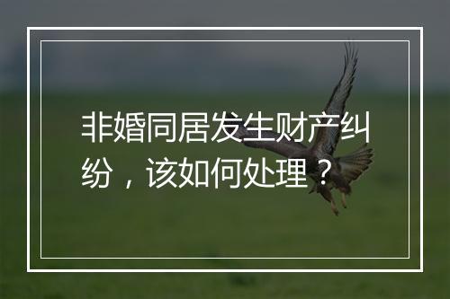非婚同居发生财产纠纷，该如何处理？