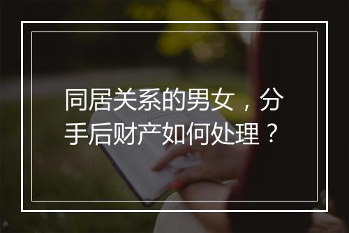 同居关系的男女，分手后财产如何处理？