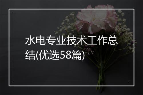 水电专业技术工作总结(优选58篇)