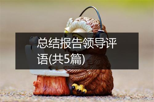 总结报告领导评语(共5篇)