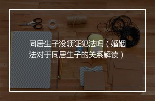 同居生子没领证犯法吗（婚姻法对于同居生子的关系解读）
