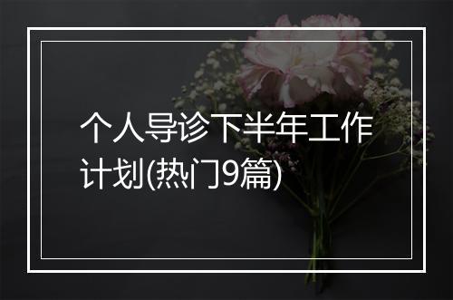 个人导诊下半年工作计划(热门9篇)