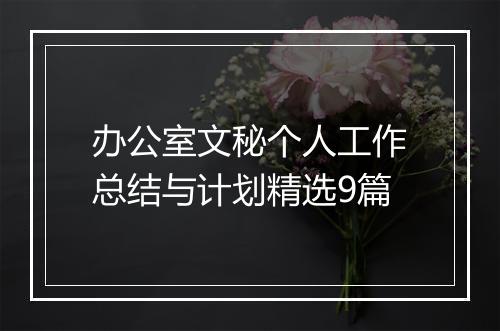 办公室文秘个人工作总结与计划精选9篇