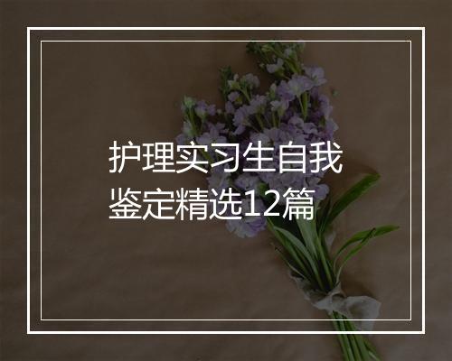 护理实习生自我鉴定精选12篇