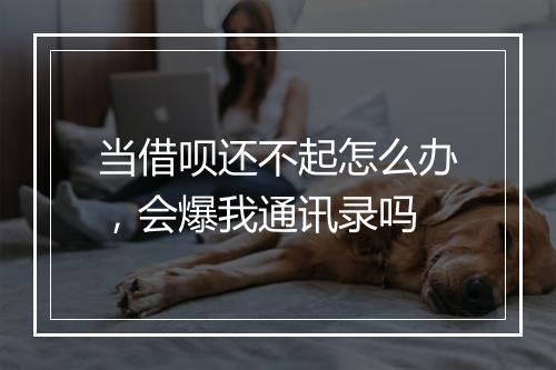 当借呗还不起怎么办，会爆我通讯录吗
