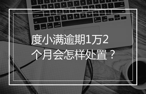 度小满逾期1万2个月会怎样处置？