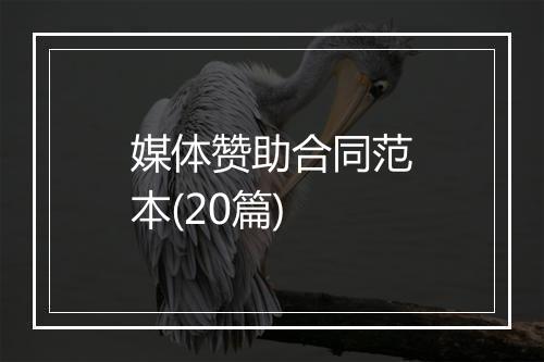 媒体赞助合同范本(20篇)