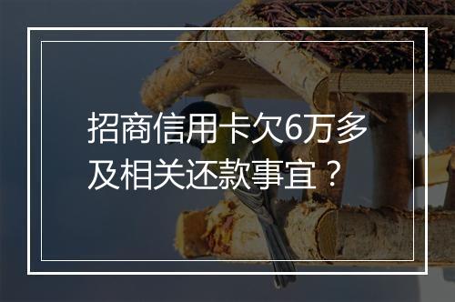 招商信用卡欠6万多及相关还款事宜？