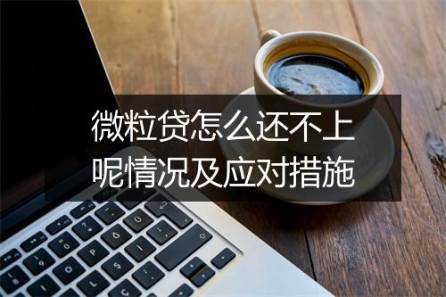 微粒贷怎么还不上呢情况及应对措施