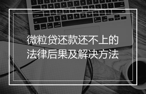 微粒贷还款还不上的法律后果及解决方法