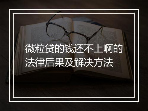 微粒贷的钱还不上啊的法律后果及解决方法