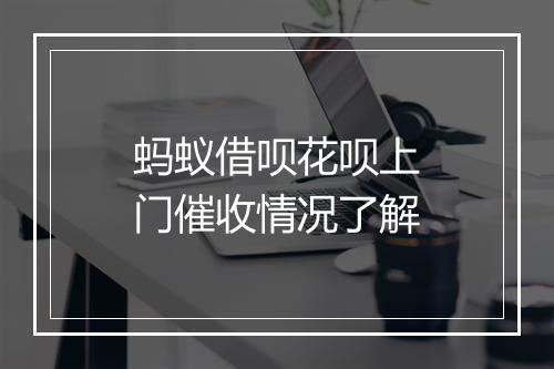 蚂蚁借呗花呗上门催收情况了解