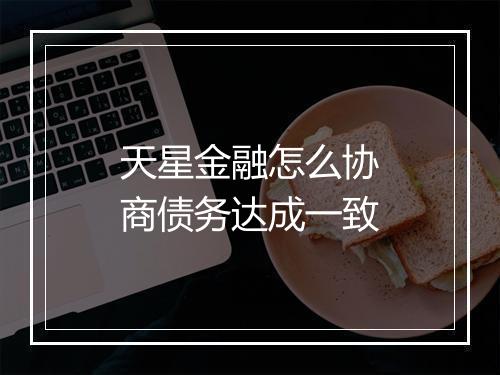 天星金融怎么协商债务达成一致
