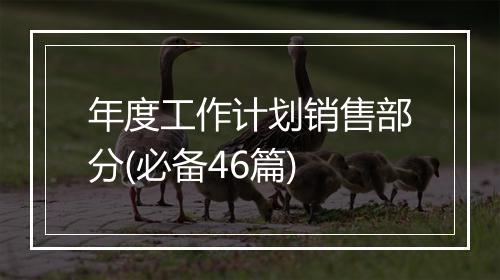 年度工作计划销售部分(必备46篇)