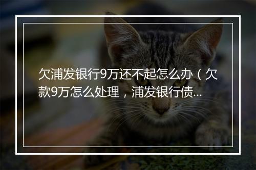 欠浦发银行9万还不起怎么办（欠款9万怎么处理，浦发银行债务解决 ）