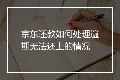京东还款如何处理逾期无法还上的情况