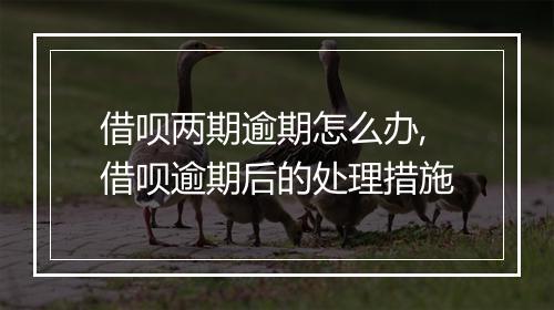 借呗两期逾期怎么办,借呗逾期后的处理措施