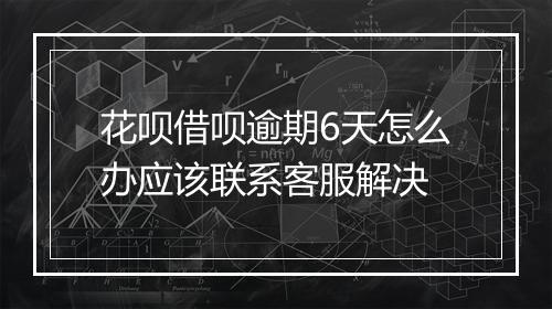 花呗借呗逾期6天怎么办应该联系客服解决