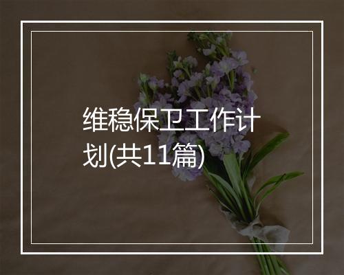 维稳保卫工作计划(共11篇)