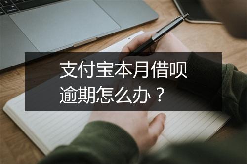 支付宝本月借呗逾期怎么办？