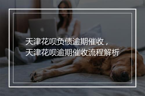 天津花呗负债逾期催收 ,天津花呗逾期催收流程解析