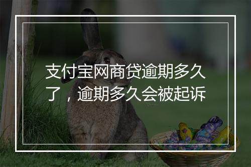 支付宝网商贷逾期多久了，逾期多久会被起诉