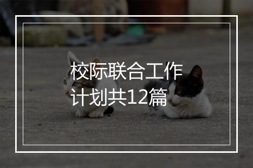 校际联合工作计划共12篇