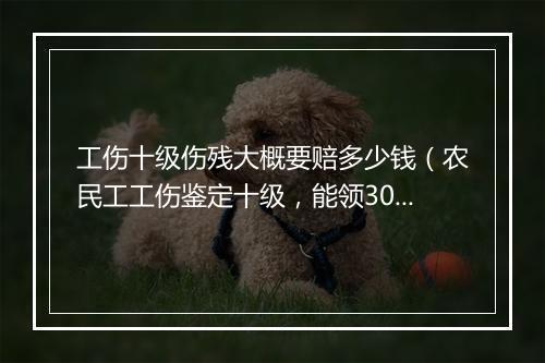 工伤十级伤残大概要赔多少钱（农民工工伤鉴定十级，能领30万赔偿吗?）